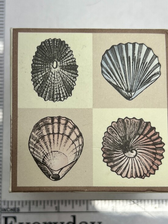 Other - Seashell Wood Mounted Rubber Stamp Set of 4 Beach Coastal Card Making